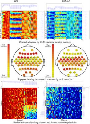 Kernel-Based Relevance Analysis with Enhanced Interpretability for Detection of Brain Activity Patterns